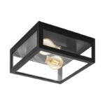 Plafoniera baie EGLO AMEZOLA 99122 - E27 2X40W IP44 - Sticla - Negru – Iluminat interior, Baie – vedere frontală – partener oficial Eglo