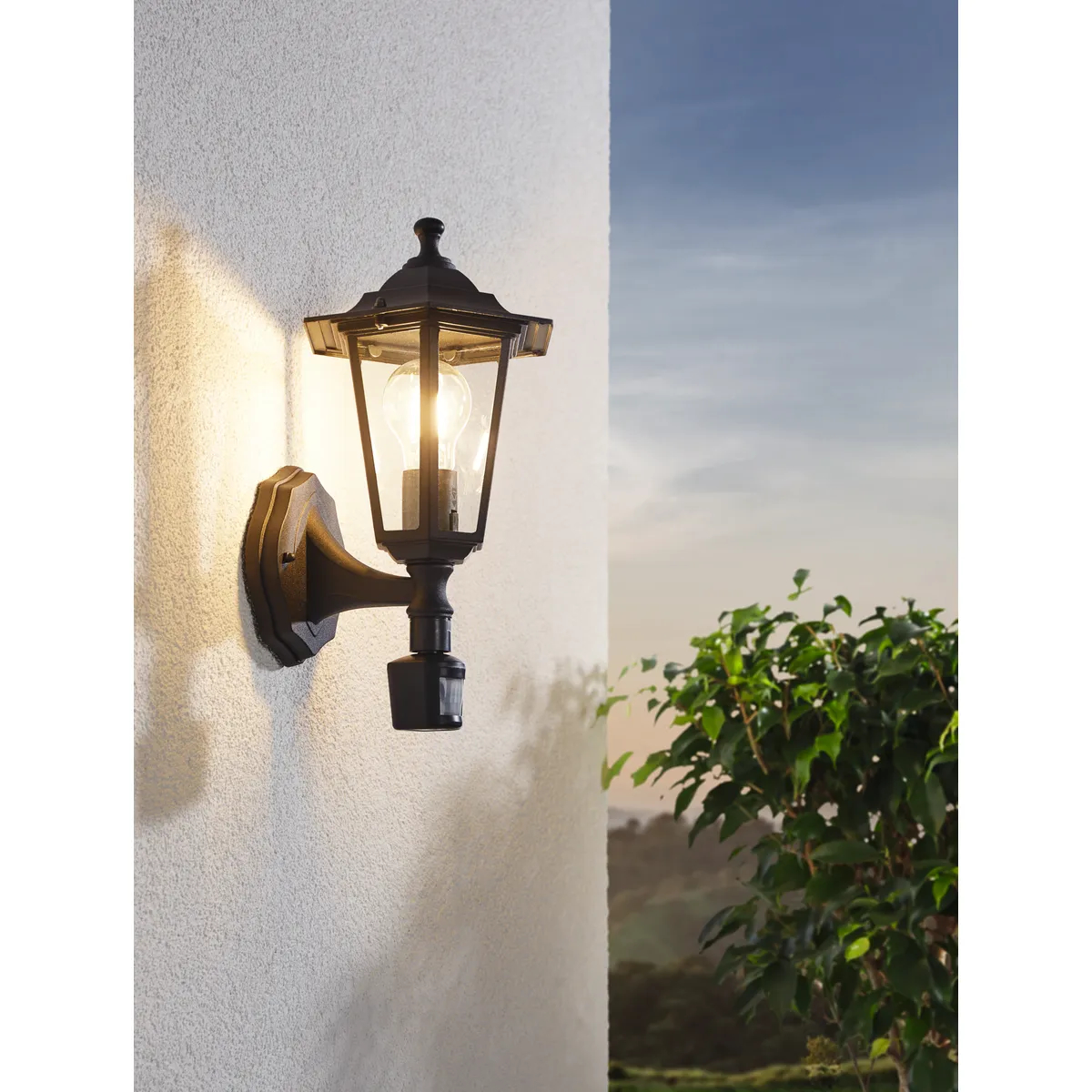 Aplica exterior EGLO LATERNA 4 22469 - E27 1X60W IP44 - Sticla - Negru