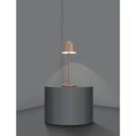 Veioza exterior MANNERA LED 2,2W Eglo 900459 – Iluminat exterior, Corpuri de iluminat – imagine în utilizare reală – partener oficial Eglo