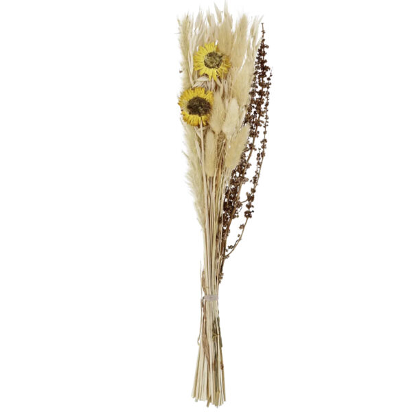 Decoratiune EGLO CARAQUET 428068