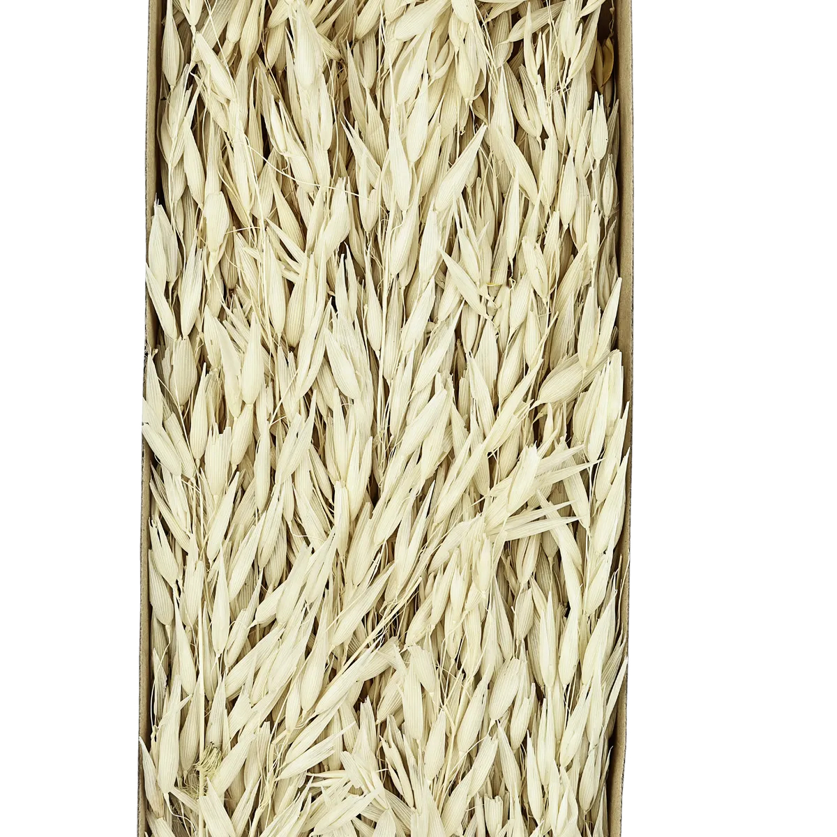 Decoratiune EGLO GUIPOS 428036