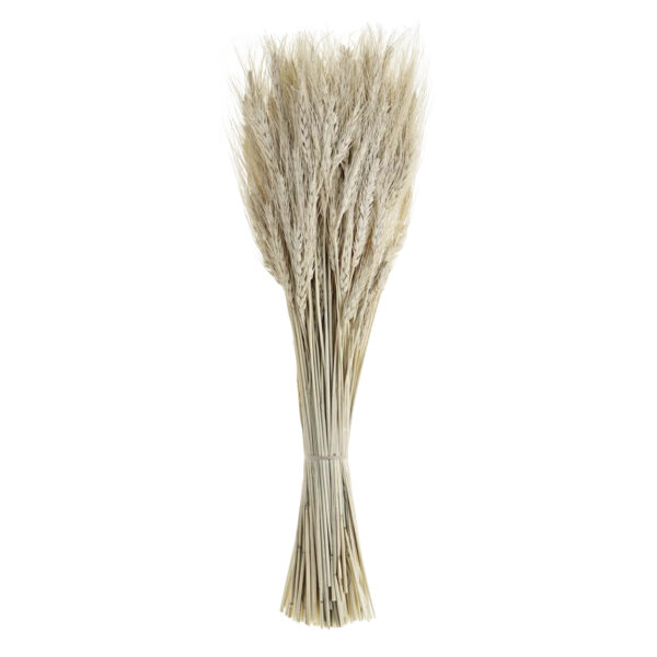 Decoratiune EGLO GUIPOS 428041