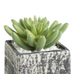 Planta artificiala EGLO CHITOSE 428007 – Decoratiuni, Basic Collection – detaliu material și finisaj – partener oficial Eglo