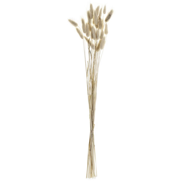 Decoratiune EGLO GUIPOS 428039 – Decoratiuni, Basic Collection – vedere frontală – partener oficial Eglo