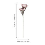Planta artificiala MOLAVE D200mm Eglo 428113 – Decoratiuni, Basic Collection – dimensiuni tehnice – partener oficial Eglo