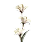 Planta artificiala MEHAKIT 650x100mm Eglo 428175 – Decoratiuni, Basic Collection – detaliu material și finisaj – partener oficial Eglo