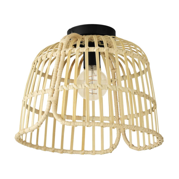 Plafoniera GLYNEATH E27 1X40W Eglo 43872