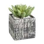 Planta artificiala CHITOSE 75x75x120mm Eglo 428007