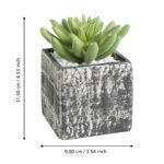 Planta artificiala CHITOSE 75x75x120mm Eglo 428007