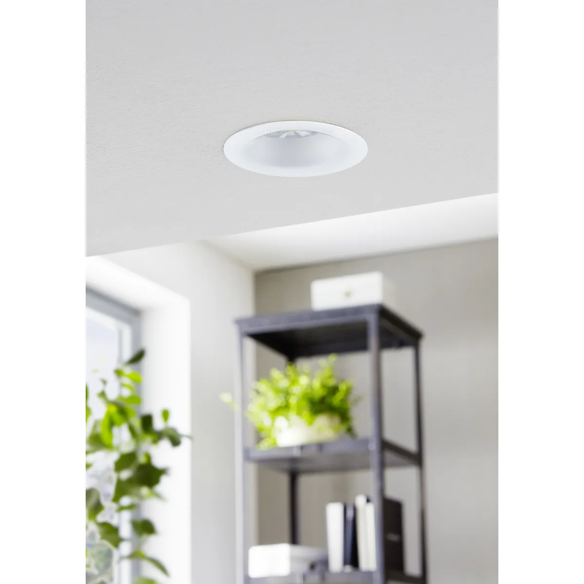 Spot Saliceto Eglo 98243 - LED 6W 2700K IP20 D88