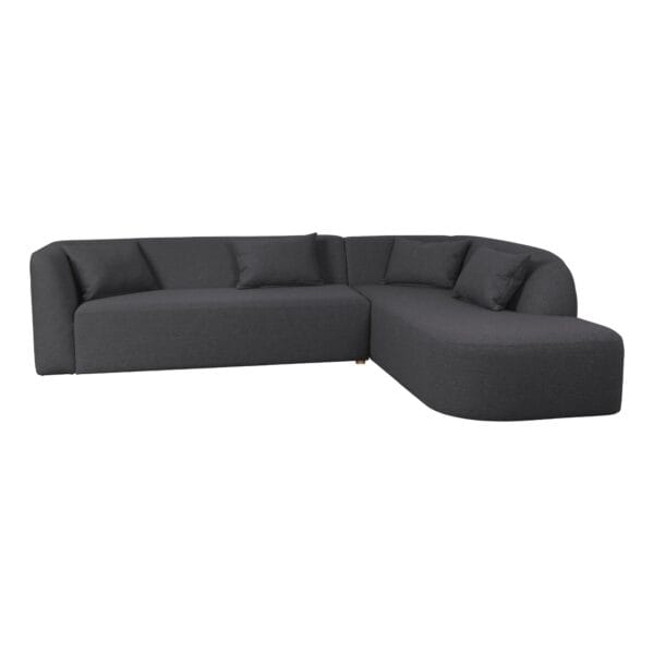 Dark gray sectional sofa with several cushions, seen from a low angle against a white background.
