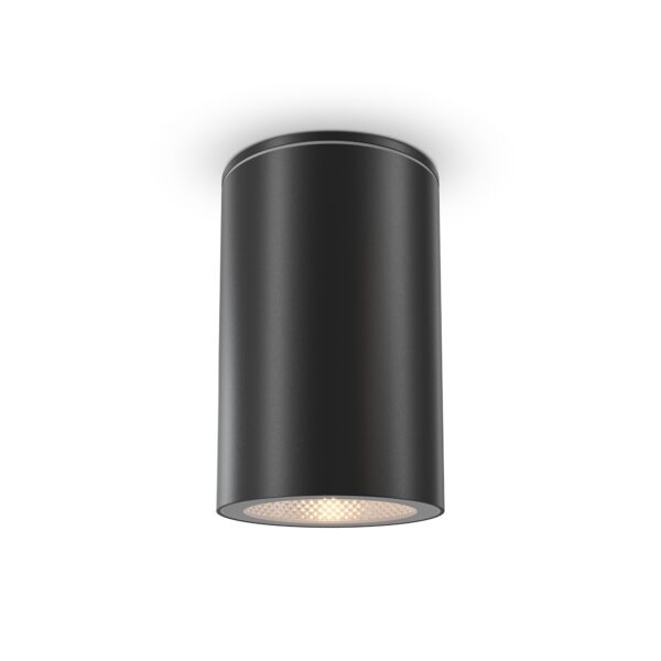 Aplica de exterior Roll Maytoni O307CL-01B