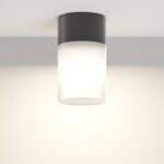 Aplica de exterior Willis Maytoni O418CL-01B