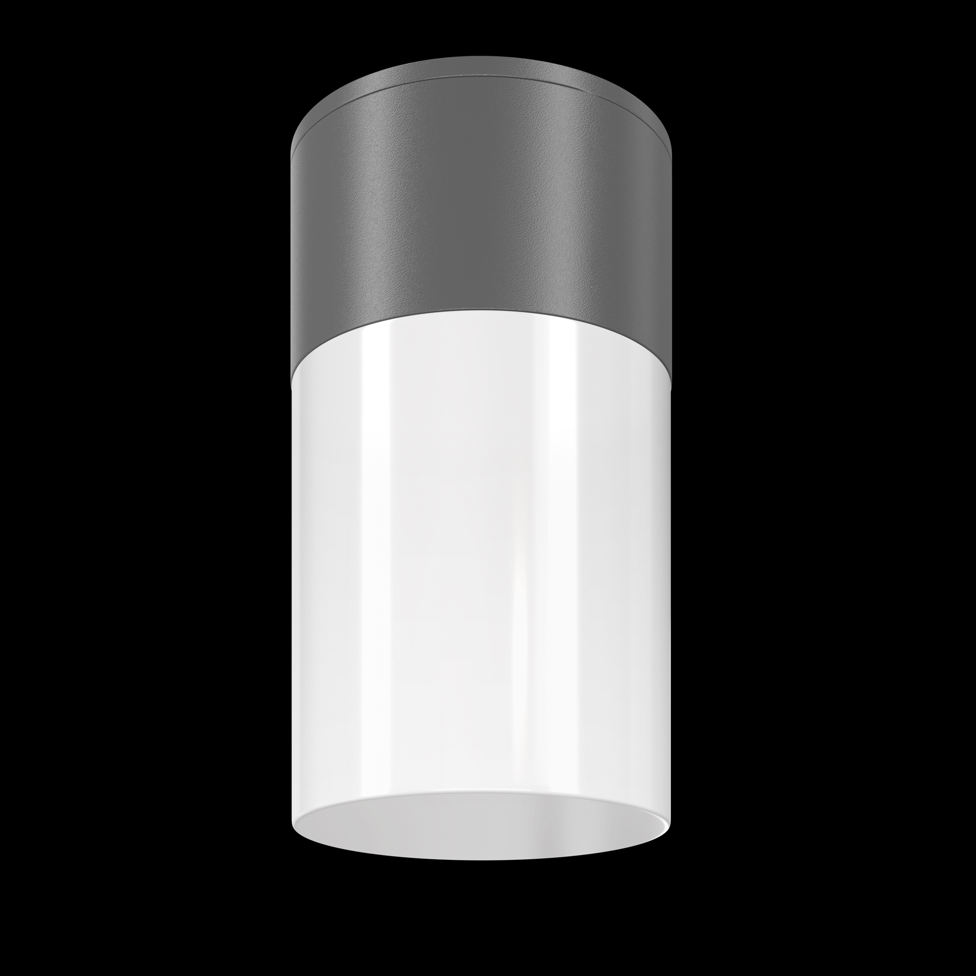 Aplica de exterior Willis Maytoni O418CL-01GR