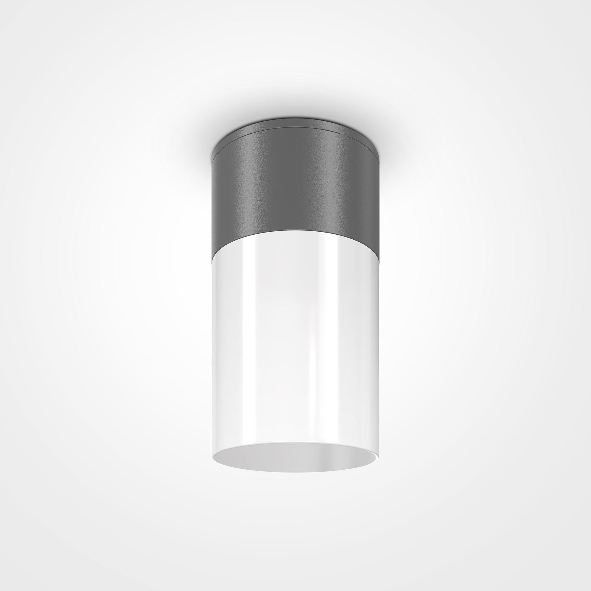 Aplica de exterior Willis Maytoni O418CL-01GR