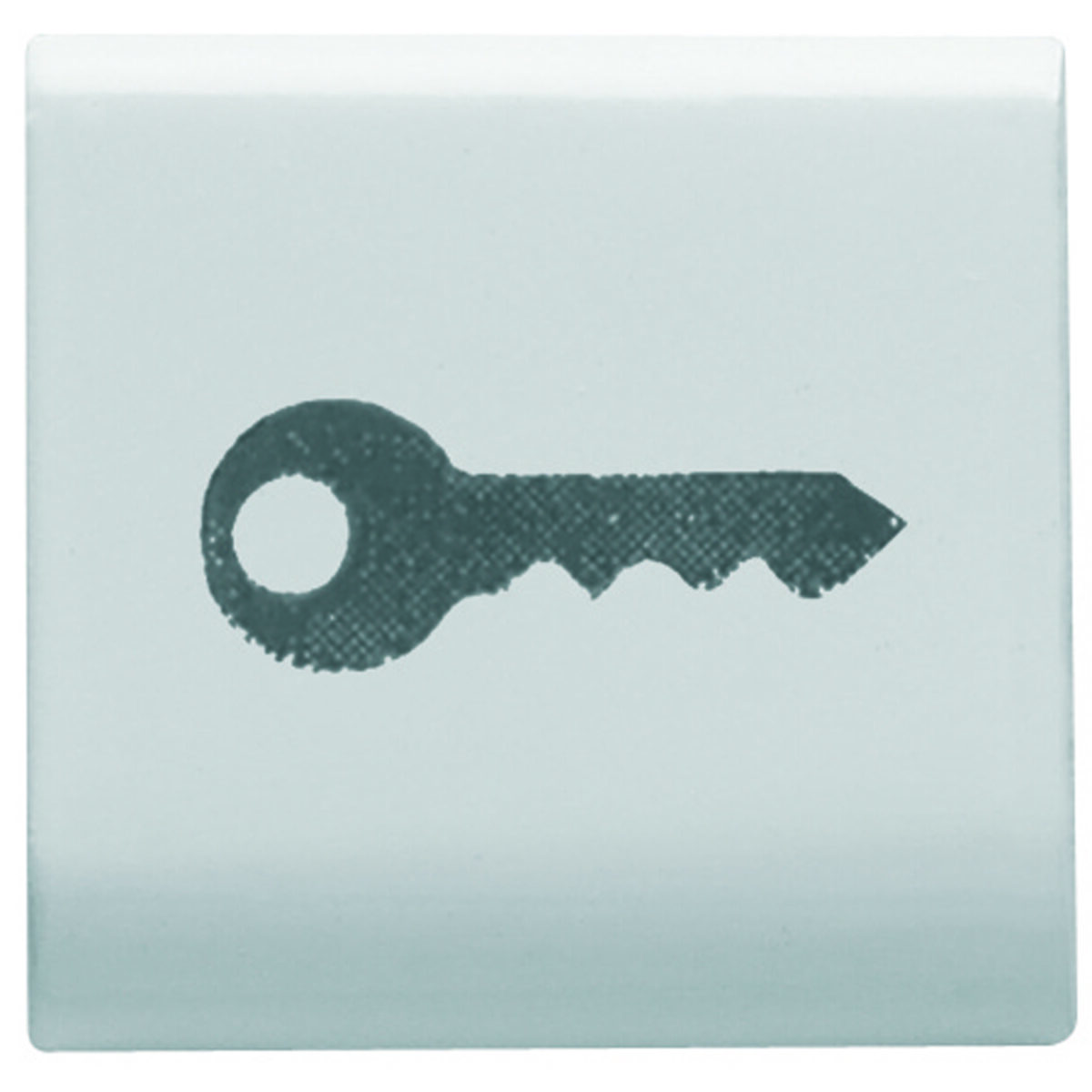 Buton Interschimbabil – 22X22mm – Cheie – Alb Lucios – CHORUSMART Buton Interschimbabil - 22X22mm - Cheie - Alb Satinat - CHORUSMART