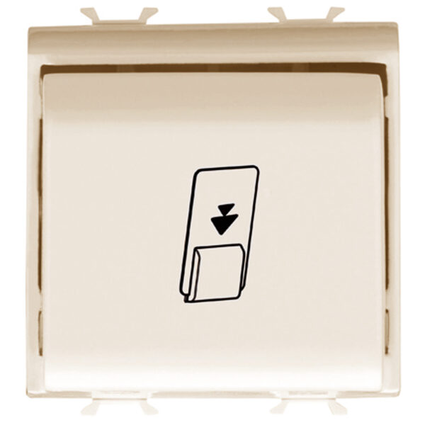 Intrerupator cu cartela - 1P Na 16A - Iluminabil - 2 Module - Ivory - CHORUSMART