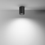 Lustra Atom Maytoni C016CL-01B
