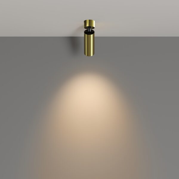 Lustra Focus Maytoni C055CL-L12W3K-W-BS