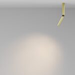 Lustra Focus T Maytoni C142CL-6W3K-BS