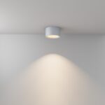 Lustra Hydra Maytoni C090CL-15W3K-W