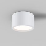 Lustra Hydra Maytoni C090CL-15W3K-W