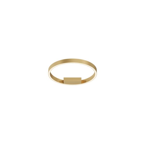 Lustra Rim Maytoni MOD058CL-L25BSK