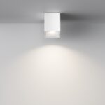 Lustra Zoom Maytoni C030CL-01W