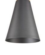 Pendul Bicones Maytoni P359-PL-140-C