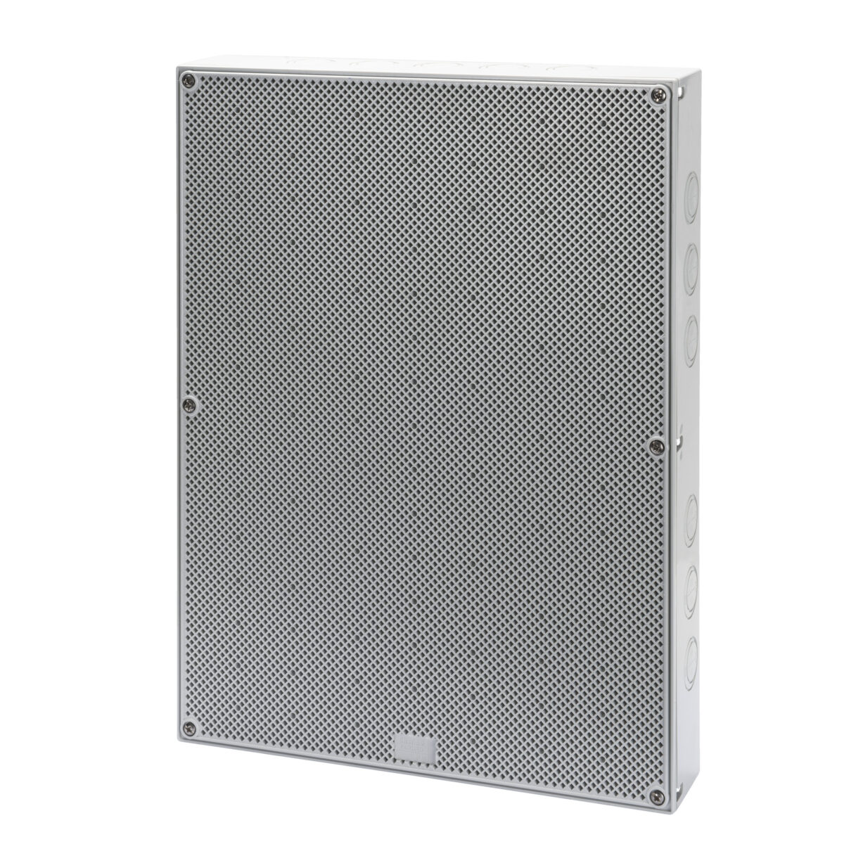 Placa cu Usa Reversibila - Suprafata Neteda si Fagure - Dimensiune 400X300X120