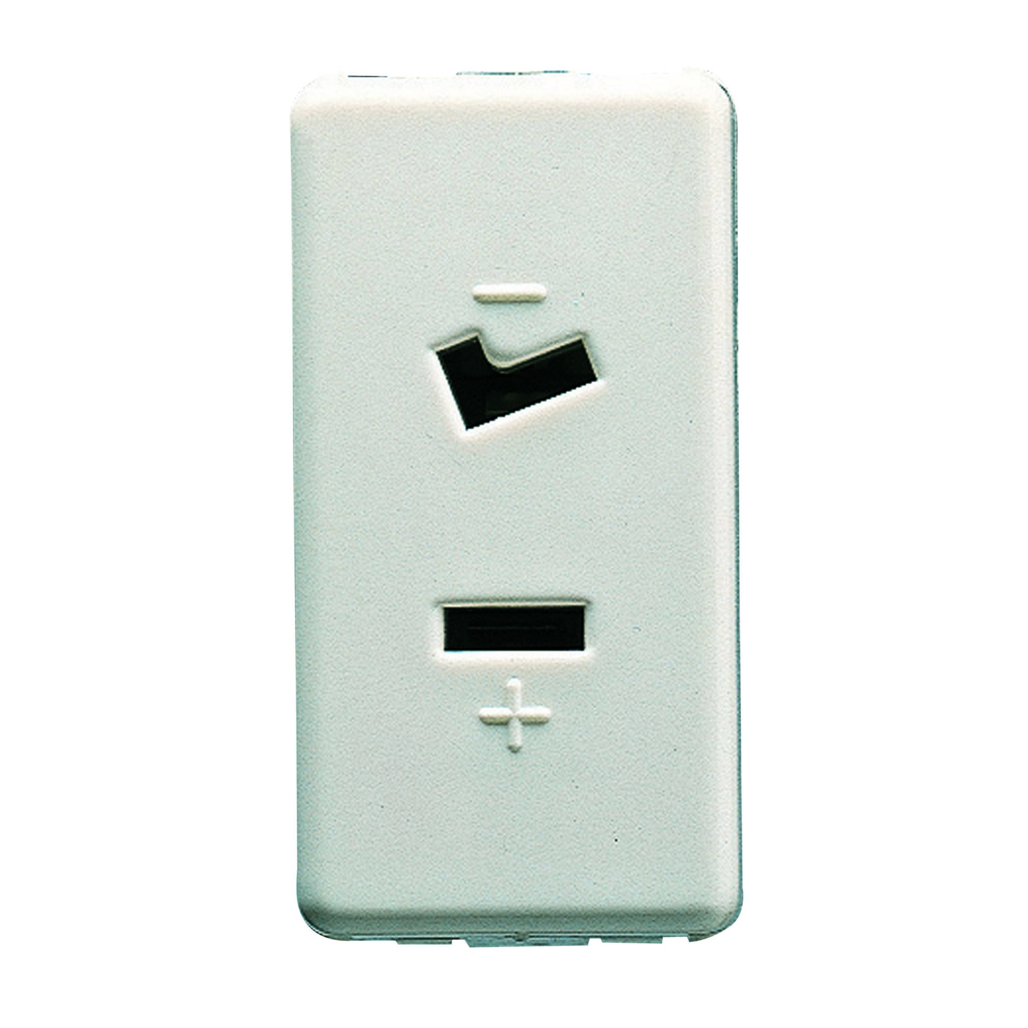 Priza SELV - 2P 6A 24V Polarizata - 1 Modul - Sistem Alb