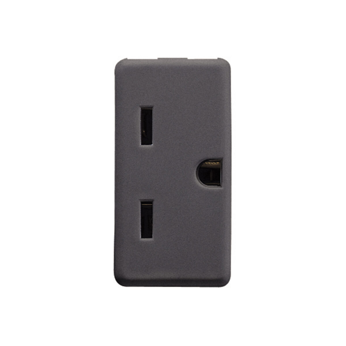 Priza Standard Sua 250/125V 2P+E 15A 250V – Fisa Verticala Plata aliniata – 1 Modul – Negru Sistem Priza Standard Sua 250/125V 2P+E 15A 250V - Fisa Verticala Plata aliniata - 1 Modul - Negru Sistem