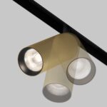 Spot pe sina Artisan Maytoni TR097-2-12W4K-M-BMG