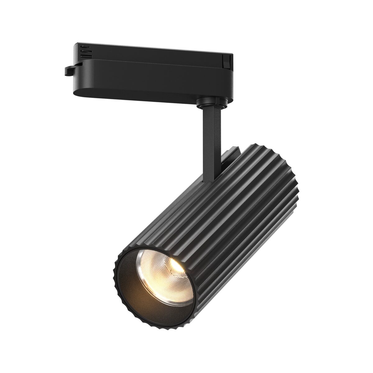 Spot pe sina Calipso Maytoni TR250-30W3K-B