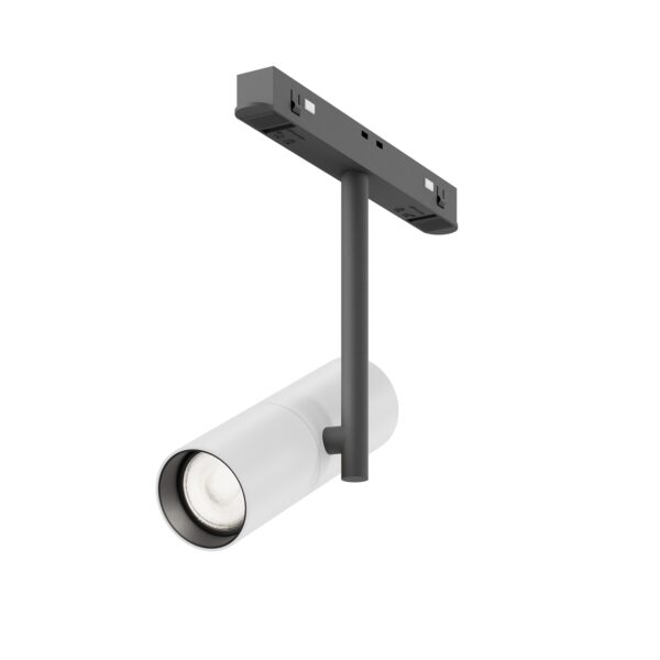 Spot pe sina Elti Maytoni TR005-4-12W-DS-BW