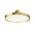 Spot pe sina Plato Maytoni TR153-1-10W2.7K-BS-DE