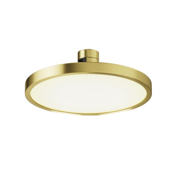 Spot pe sina Plato Maytoni TR153-1-10W2.7K-BS-DE