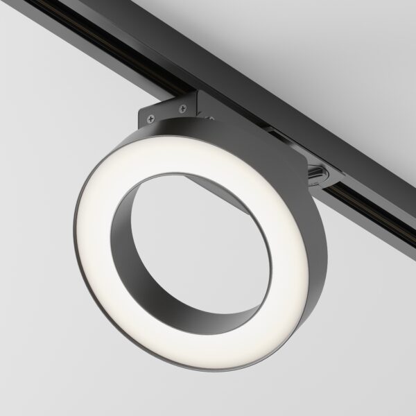 Spot pe sina Rim Maytoni TR044-1-12W3K-B