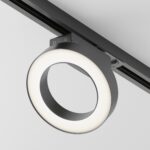 Spot pe sina Rim Maytoni TR044-1-12W4K-B