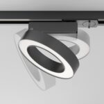 Spot pe sina Rim Maytoni TR044-1-12W4K-B