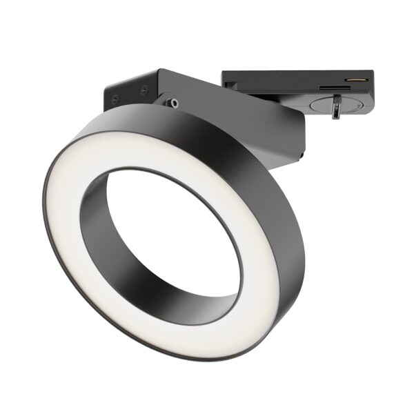 Spot pe sina Rim Maytoni TR044-1-12W4K-B