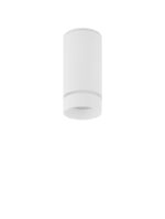 Plafoniera Esca 10W, Alb si Aluminiu Nova Luce