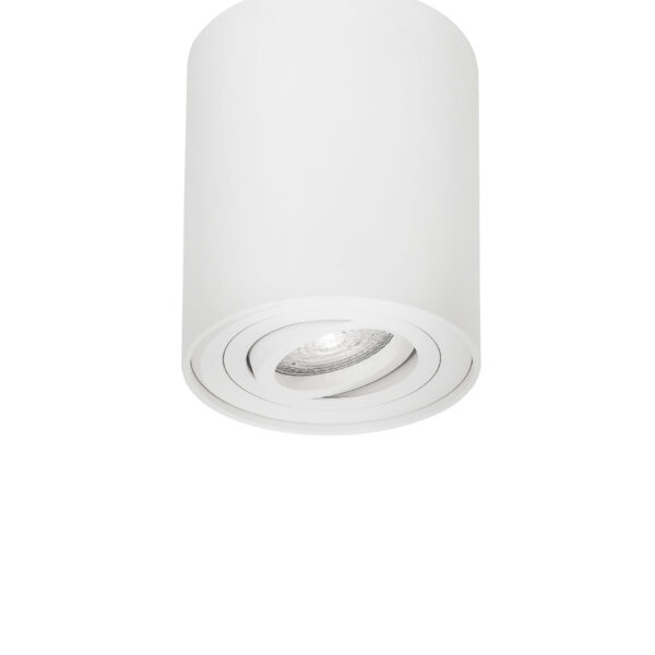 Plafoniera Gozzano 10W, Alb si Aluminiu Nova Luce