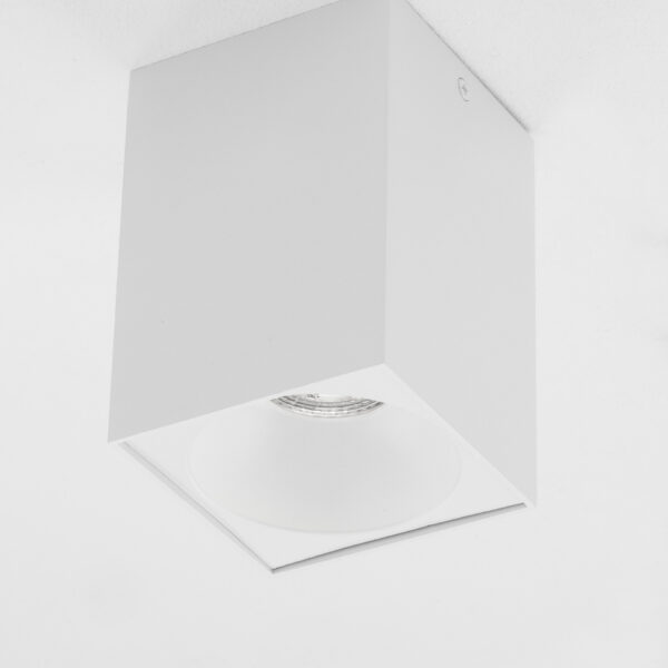 Plafoniera Nido 10W, Alb si Aluminiu Nova Luce